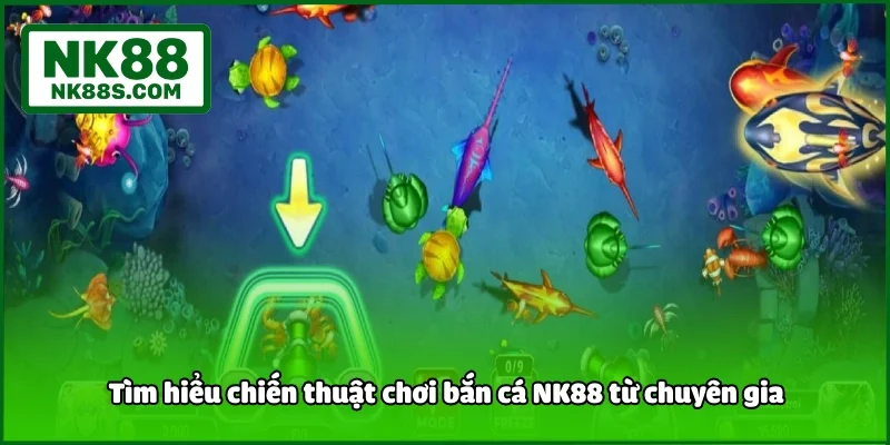 Tìm hiểu chiến thuật chơi bắn cá NK88 từ chuyên gia