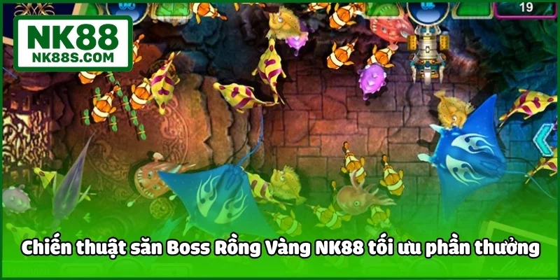 Chiến thuật săn Boss Rồng Vàng NK88 tối ưu phần thưởng