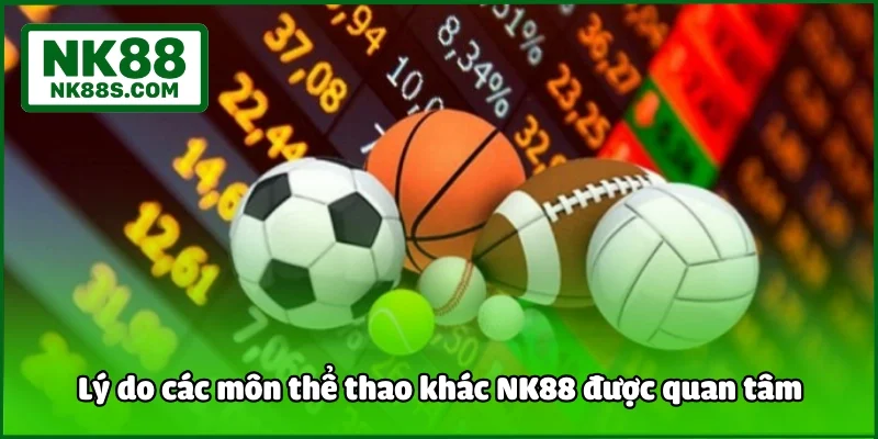 Lý do các môn thể thao khác NK88 được quan tâm
