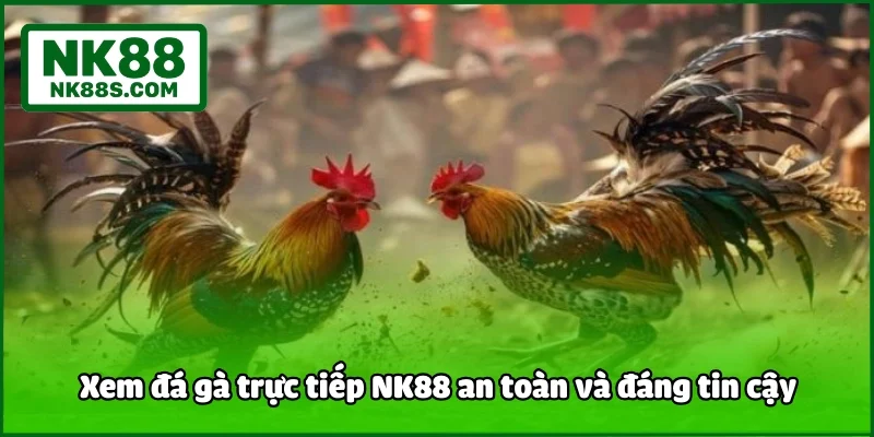 Xem đá gà trực tiếp NK88 an toàn và đáng tin cậy